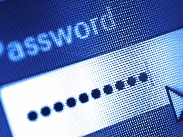 A password field being filled in